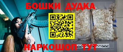 mdpv Краснознаменск